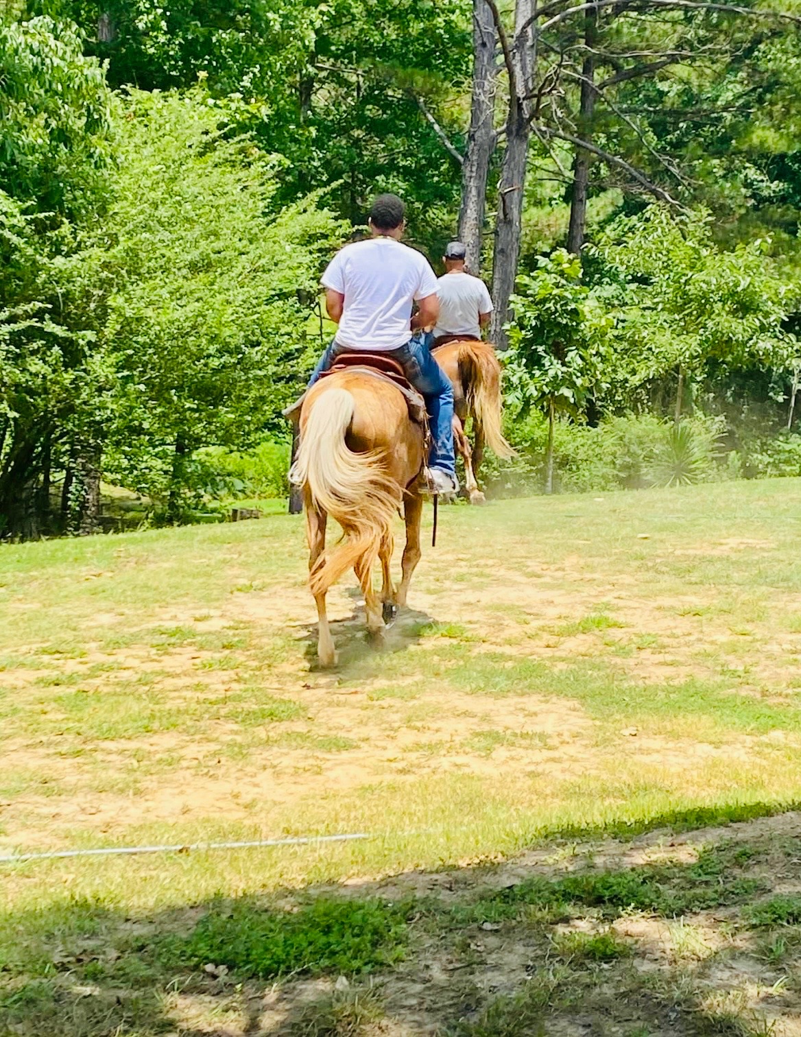 Two riders heading into the tree line