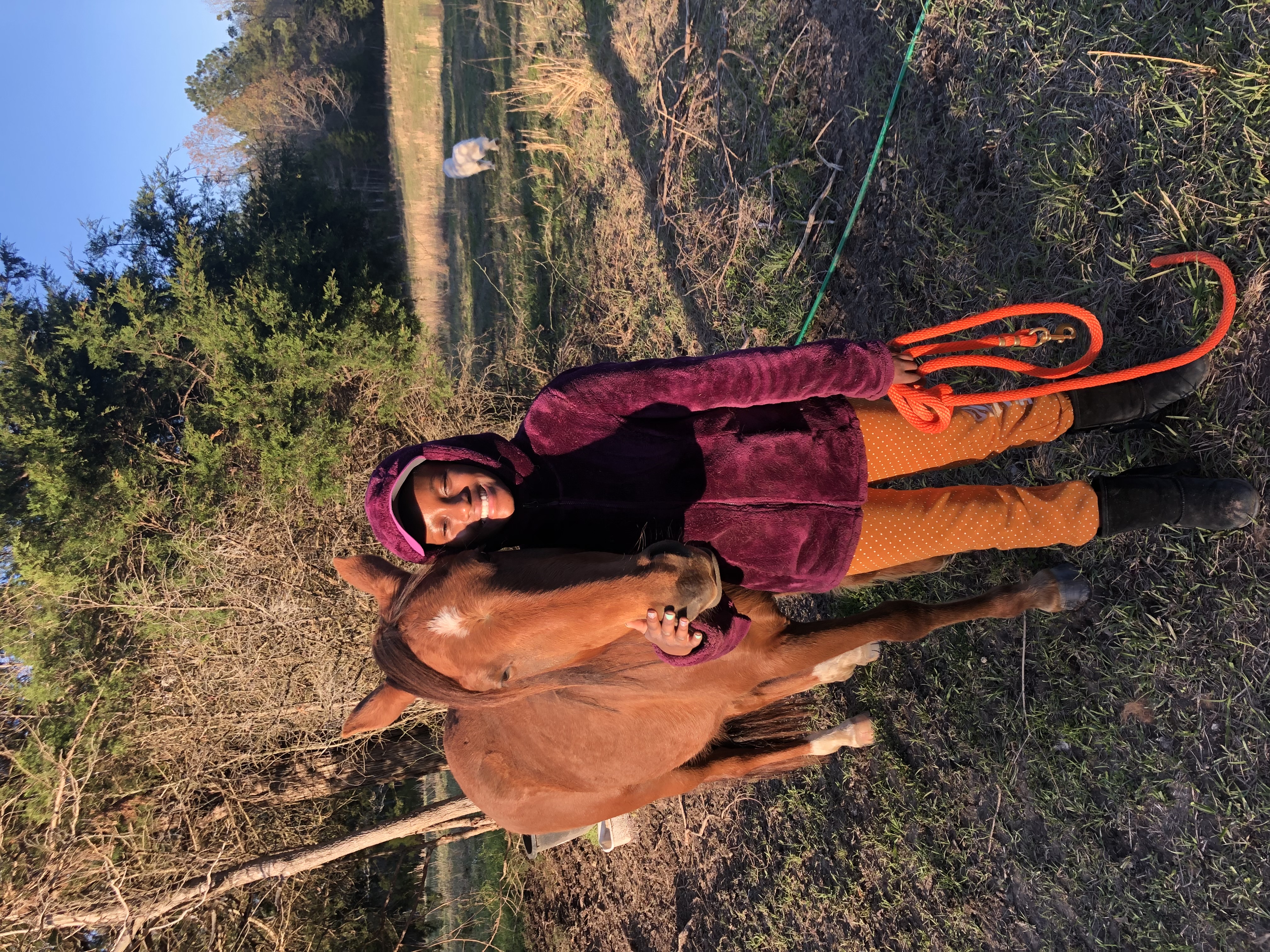 Young camper with a horse