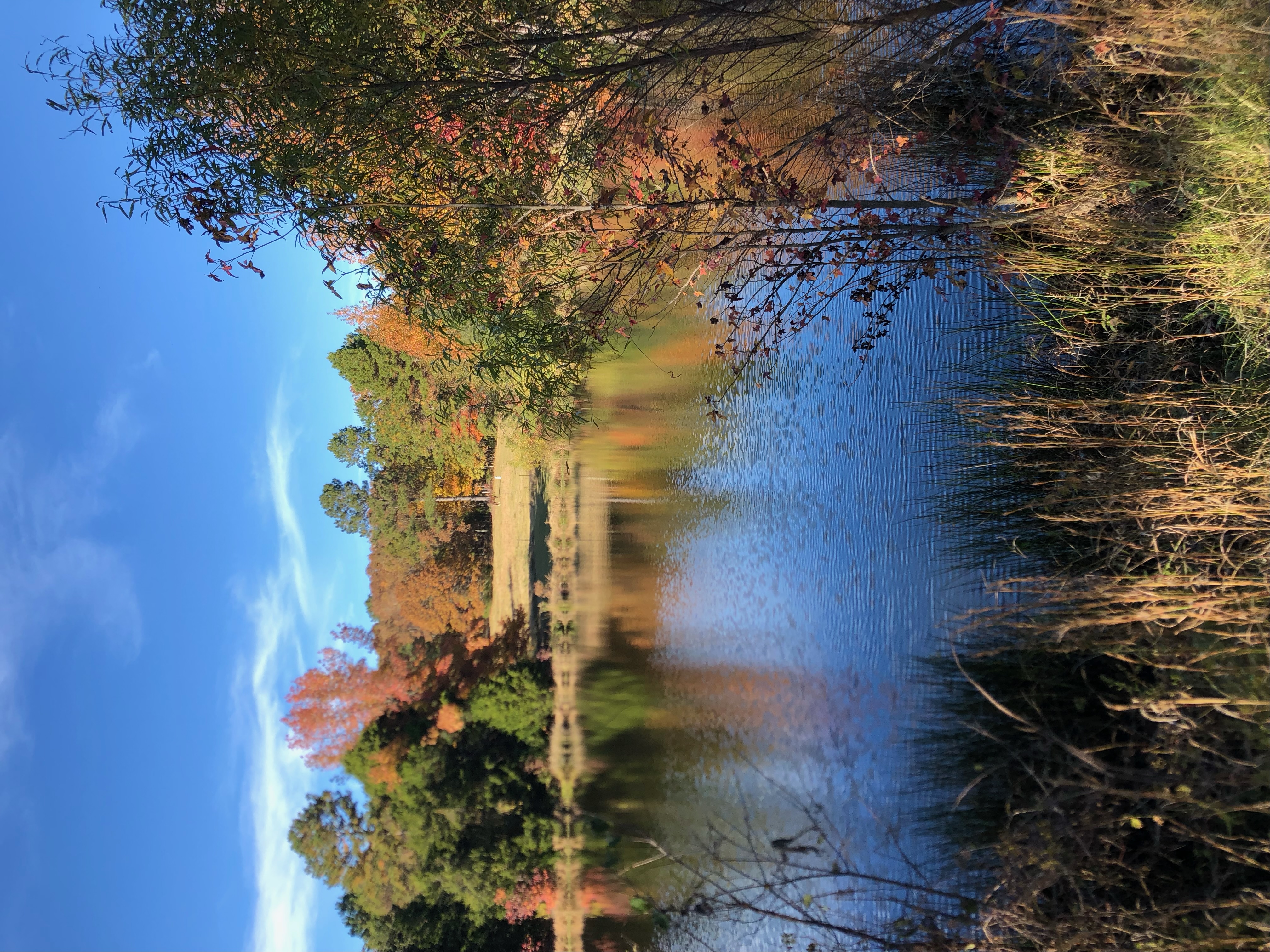 Lake at dusk with glowing grasses